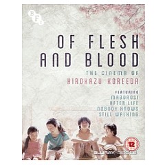 of-flesh-and-blood-the-cinema-of-hirokazu-koreeda-uk-import.jpg