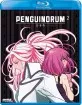Penguindrum: Collection 2 (Ep. 13-24) (Region A - US Import ohne dt. Ton) Blu-ray