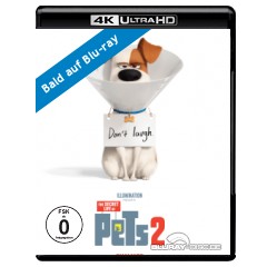 pets-2-4k.jpg pets-2-4k.jpg