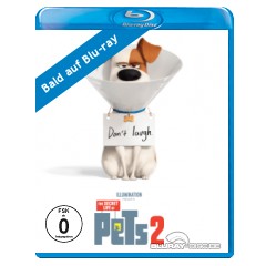 pets-2.jpg pets-2.jpg