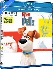 pets-vita-da-animali-2016-neuauflage-it-import_klein.webp