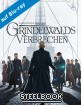 phantastische-tierwesen-grindelwalds-verbrechen-3d-limited-steelbook-edition-blu-ray-3d---blu-ray_klein.jpg