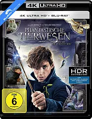 Phantastische Tierwesen und wo sie zu finden sind 4K (4K UHD + Blu-ray + UV Copy) Blu-ray
