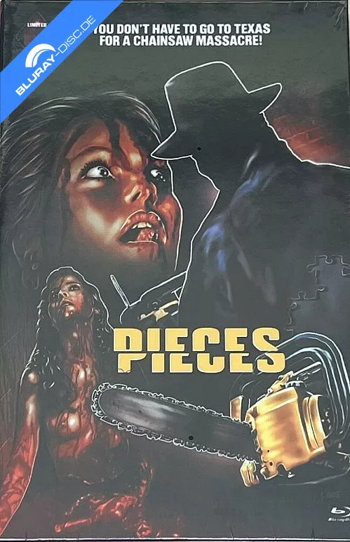 pieces-1982-limited-hartbox-edition-cover-d.webp
