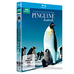 pinguine-hautnah-DE.jpg