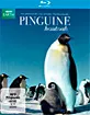 Pinguine hautnah Blu-ray