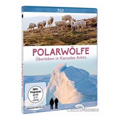 polarwoelfe---ueberleben-in-kanadas-antarktis-1.jpg