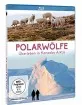 Polarwölfe - Überleben in Kanadas Antarktis Blu-ray