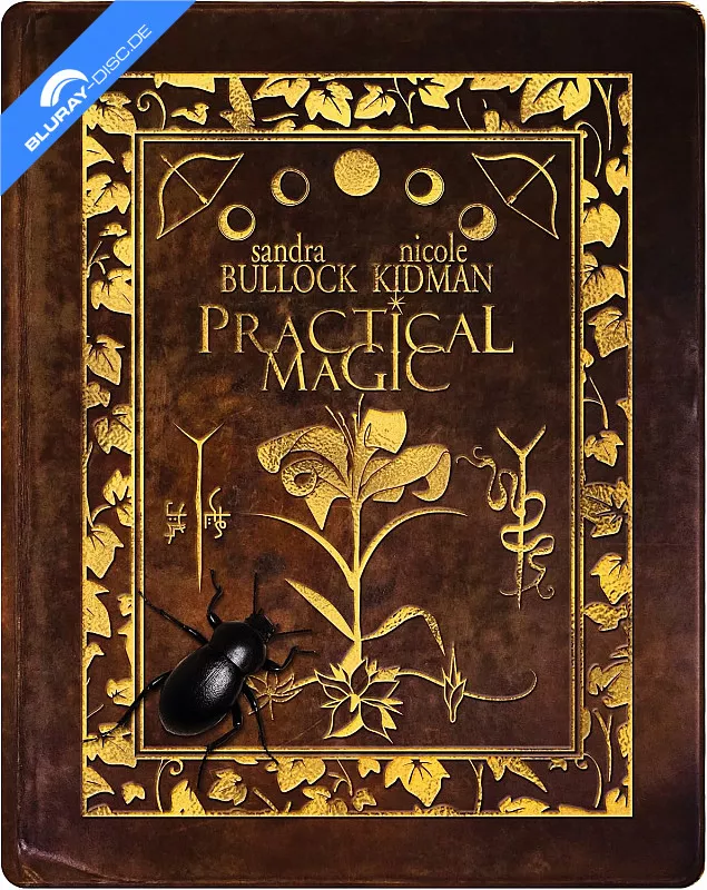 practical-magic-4k-limited-edition-steelbook-uk-import.webp