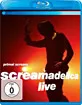 Primal Scream - Screamadelica Live (Neuauflage) Blu-ray