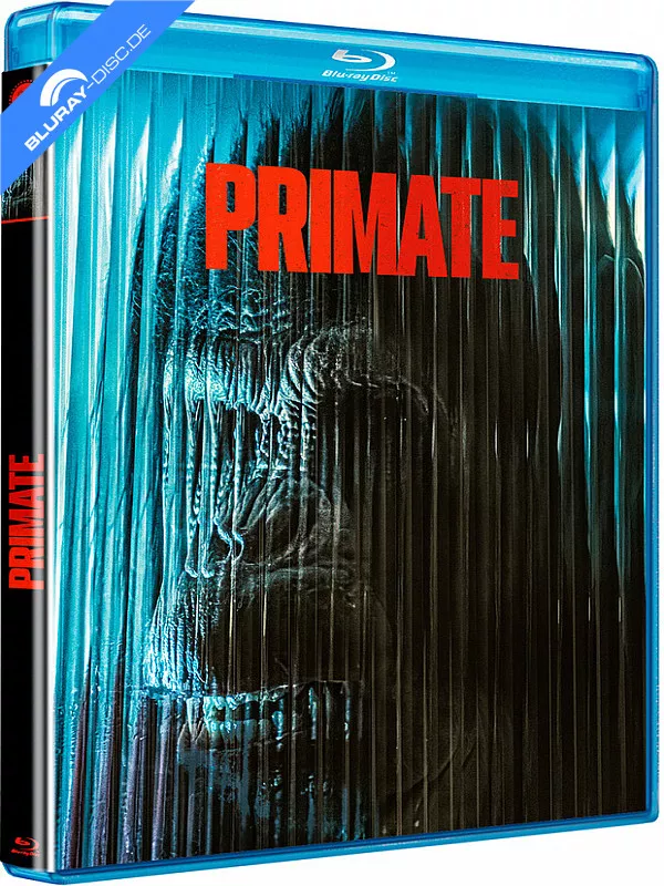 primate-2025-es-import.webp