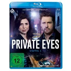 private-eyes---staffel-1.webp