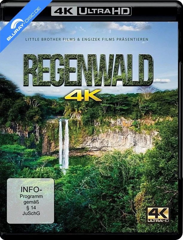 regenwald-2016-4k-4k-uhd-neu.webp