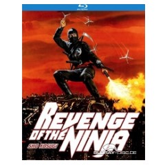 revenge-of-the-ninja-us.jpg
