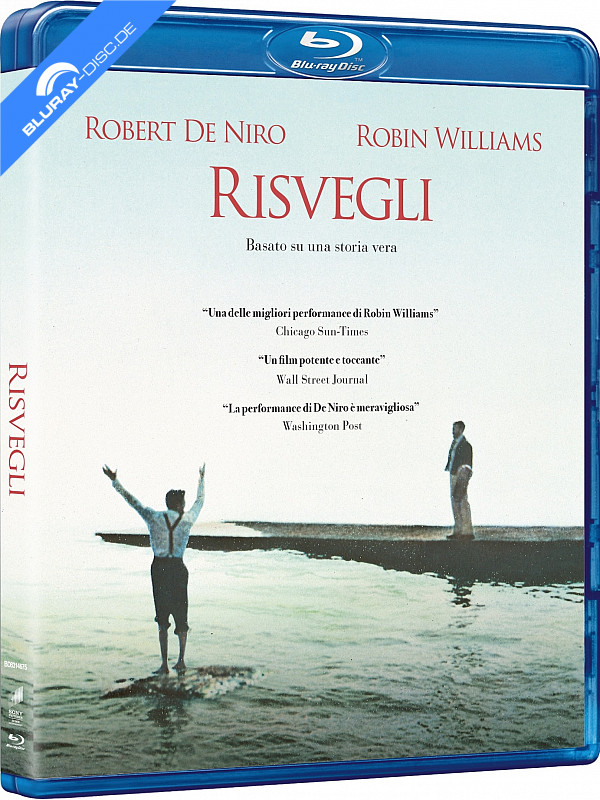 risvegli-it-import.webp
