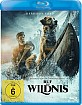 Ruf der Wildnis (2020) Blu-ray