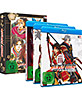 Samurai Warriors - Gesamtedition (Episode 01-12 + Movie Special: Die Legende von Sanada) Blu-ray