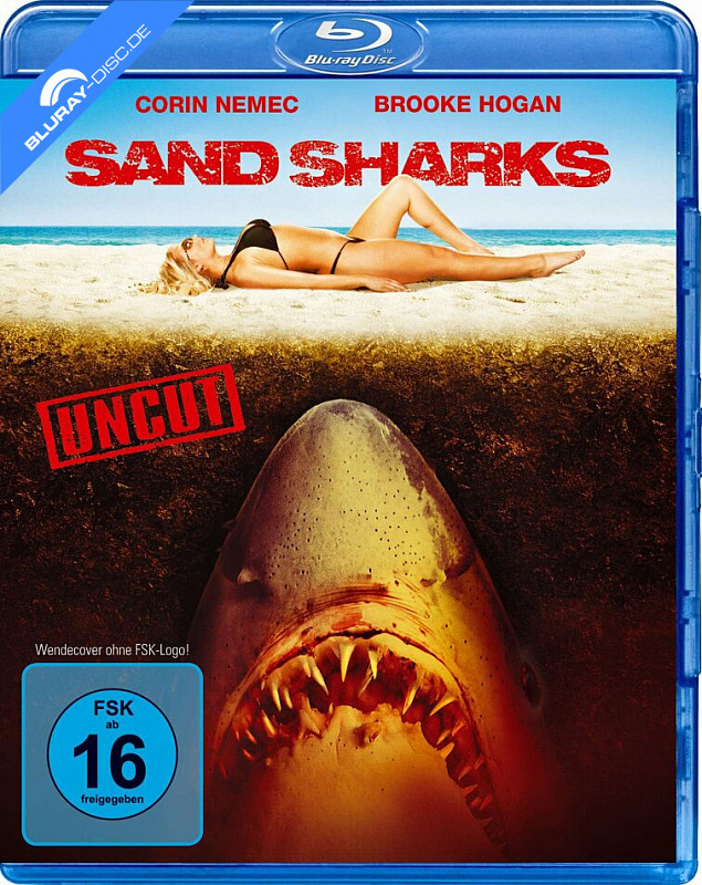 sand-sharks-neu.webp