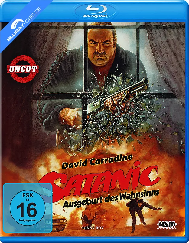 satanic---ausgeburt-des-wahnsinns-neu.webp