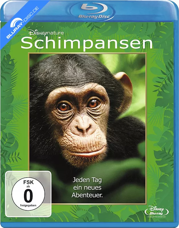 schimpansen-2011-neu.webp