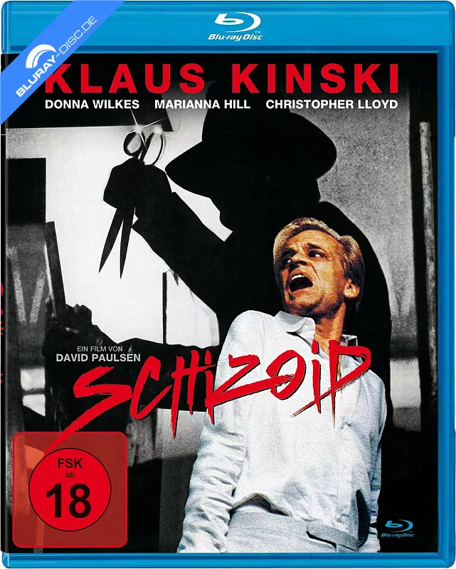 schizoid-1980-neu.webp