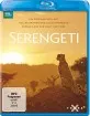 serengeti-2019-1_klein.webp