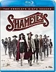 Shameless: The Complete Ninth Season (US Import ohne dt. Ton) Blu-ray