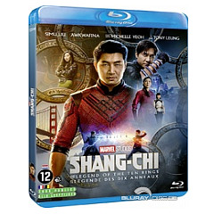 shang-chi-et-la-legende-des-dix-anneaux-fr-import-draft.webp