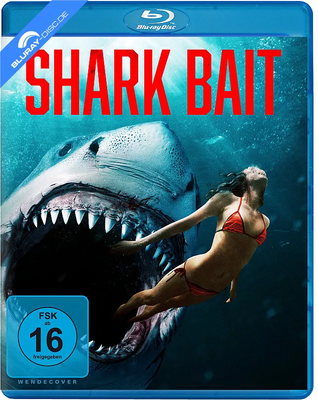 shark-bait.webp