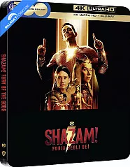 Shazam! 2 - Furia Degli Dei 4K - Edizione Limitata Cover 2 Steelbook (4K UHD + Blu-ray) (IT Import) Blu-ray