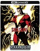 Shazam! (2019) 4K - Limited Edition Illustrated Artwork Steelbook (4K UHD + Blu-ray) (IT Import ohne dt. Ton) Blu-ray
