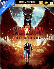 Shazam! Fury of the Gods 4K - Limited Edition Steelbook (4K UHD + Blu-ray) (SE Import ohne dt. Ton) Blu-ray