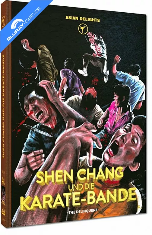 shen-chang-und-die-karate-bande-limited-mediabook-edition-cover-c-neu.webp