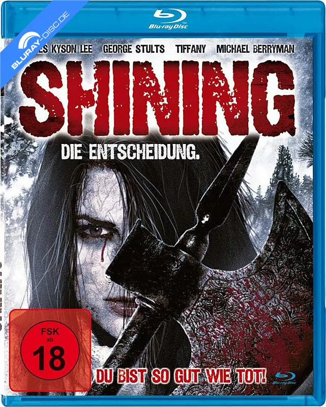 shining-die-entscheidung-neu.webp
