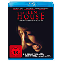 silent-house-2011-DE.webp