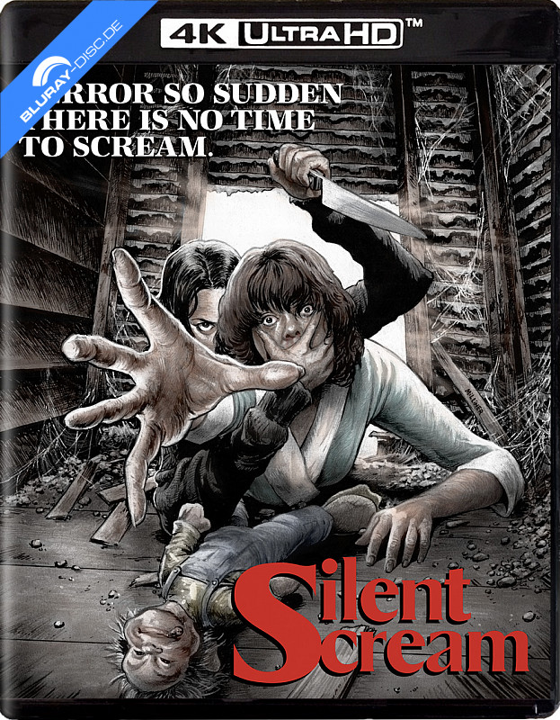 silent-scream-1979-4k-us-import.webp