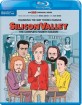 Silicon Valley: The Complete Fourth Season (Blu-ray + UV Copy) (US Import ohne dt. Ton) Blu-ray