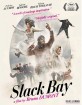 Slack Bay (2016) (Region A - US Import ohne dt. Ton) Blu-ray