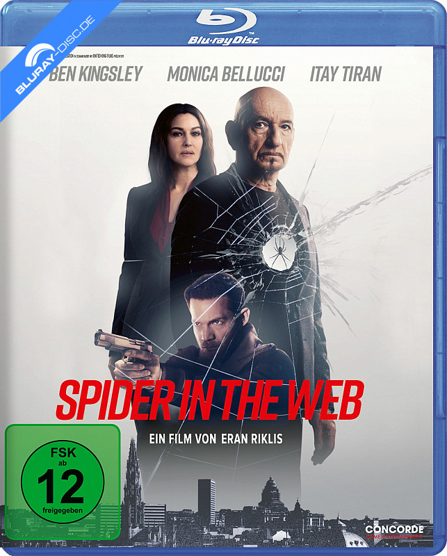 spider-in-the-web-neu.webp