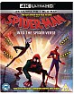 Spider-Man: Into the Spider-Verse (2018) 4K (4K UHD + Blu-ray) (UK Import ohne dt. Ton) Blu-ray