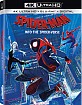 Spider-Man: Into the Spider-Verse (2018) 4K (4K UHD + Blu-ray + Digital Copy) (US Import ohne dt. Ton) Blu-ray