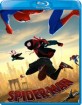 Spider-Man: Into the Spider-Verse (2018) (Blu-ray + DVD + Digital Copy) (US Import ohne dt. Ton) Blu-ray