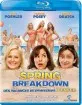 Spring Breakdown / Des vacances de printemps d'enfer (2009) (CA Import ohne dt. Ton) Blu-ray
