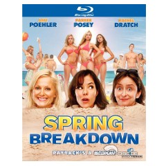 spring-breakdown-us.webp