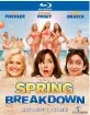 Spring Breakdown (2009) (US Import ohne dt. Ton) Blu-ray