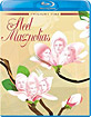 Steel Magnolias (1989) (US Import ohne dt. Ton) Blu-ray