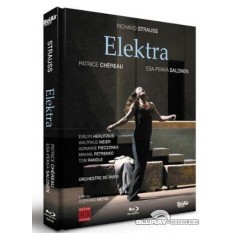 strauss---elektra-chereau-.webp