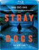 Stray Dogs (2013) (Region A - US Import ohne dt. Ton) Blu-ray