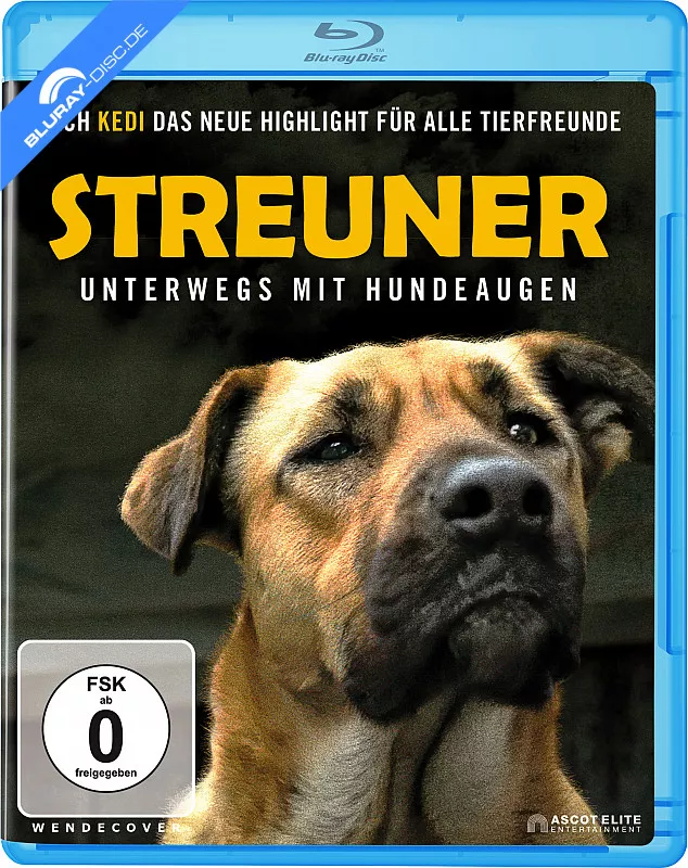 streuner---unterwegs-mit-hundeaugen-neu.webp