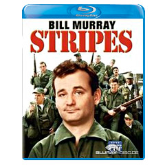 stripes-us.webp